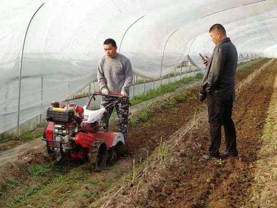 來自河南、山東、新疆的客人在種植園考察